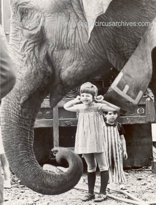 Elephant and Kids, black-and-white photograph, collection Tegge Circus Archives.